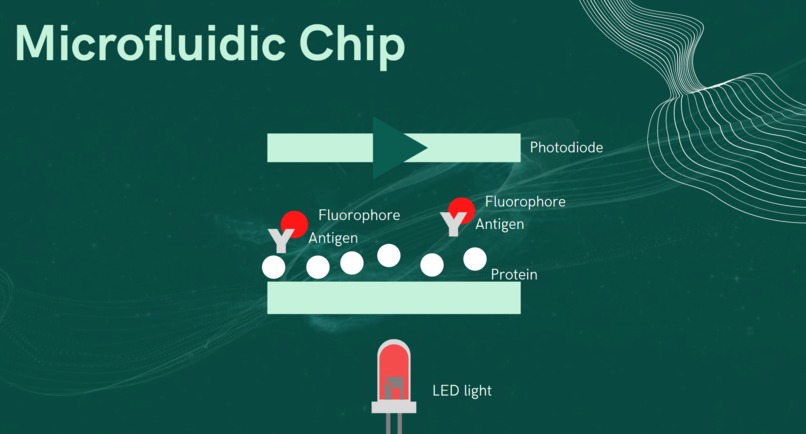 Creatic Cancer Chip – screenshot 4