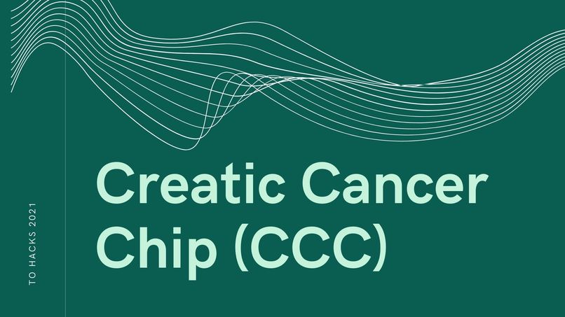 Creatic Cancer Chip – screenshot 1
