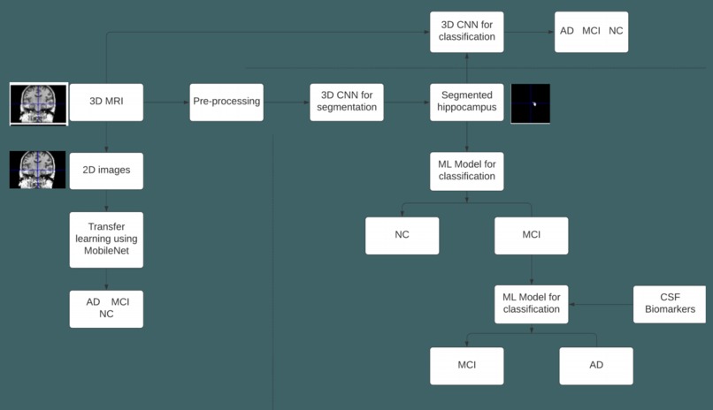 Early on-set detection of Alzheimer's disease from MRI scan – screenshot 1
