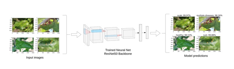 AgroAssist – screenshot 6