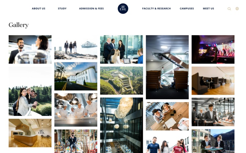 HubSpot Websites System for École hôtelière de Lausanne – screenshot 7