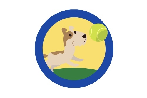 Fetch – screenshot 1