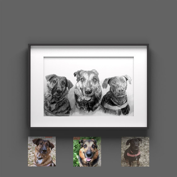 Tierportrait Sketchus – screenshot 4