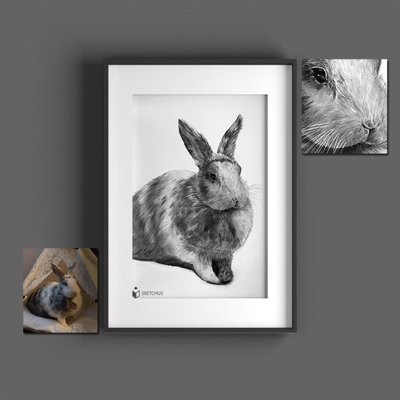 Tierportrait Sketchus – screenshot 9
