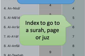 IQ: Introduce Qur’an