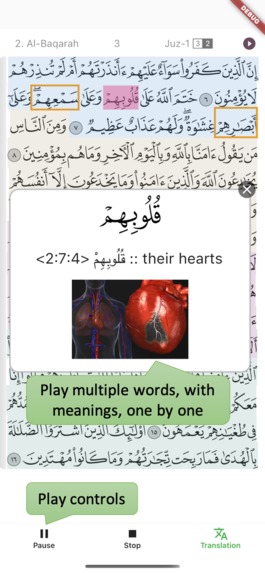 IQ: Introduce Qur’an – screenshot 5
