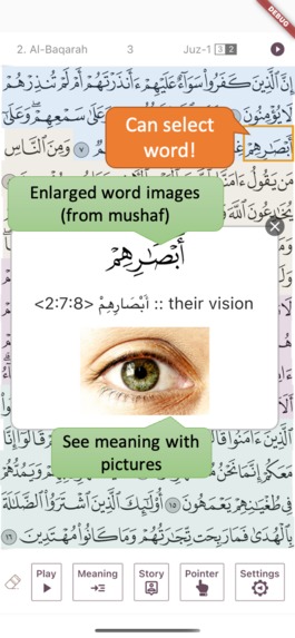 IQ: Introduce Qur’an – screenshot 4