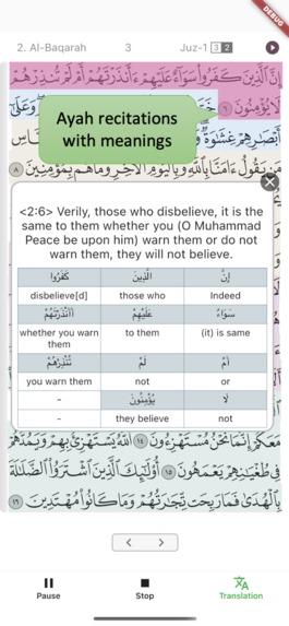 IQ: Introduce Qur’an – screenshot 9