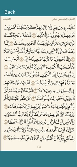 Al-Bayan – screenshot 13