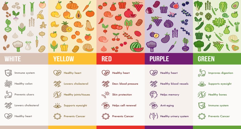 DailyFoodGuide – screenshot 2