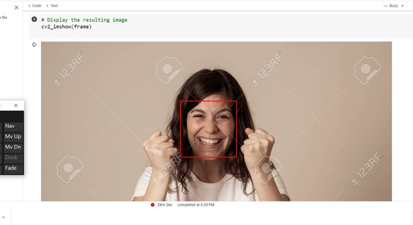 Facial Emotion recognition – screenshot 1