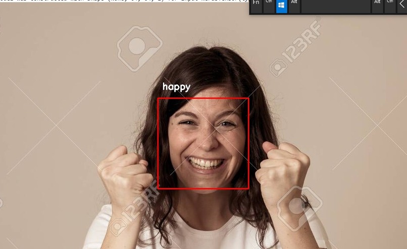 Facial Emotion recognition – screenshot 6