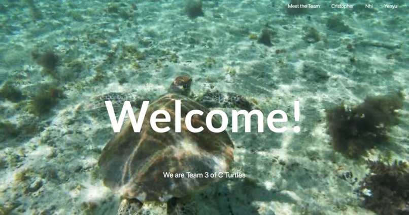 Hawksbills Portfolio – screenshot 1