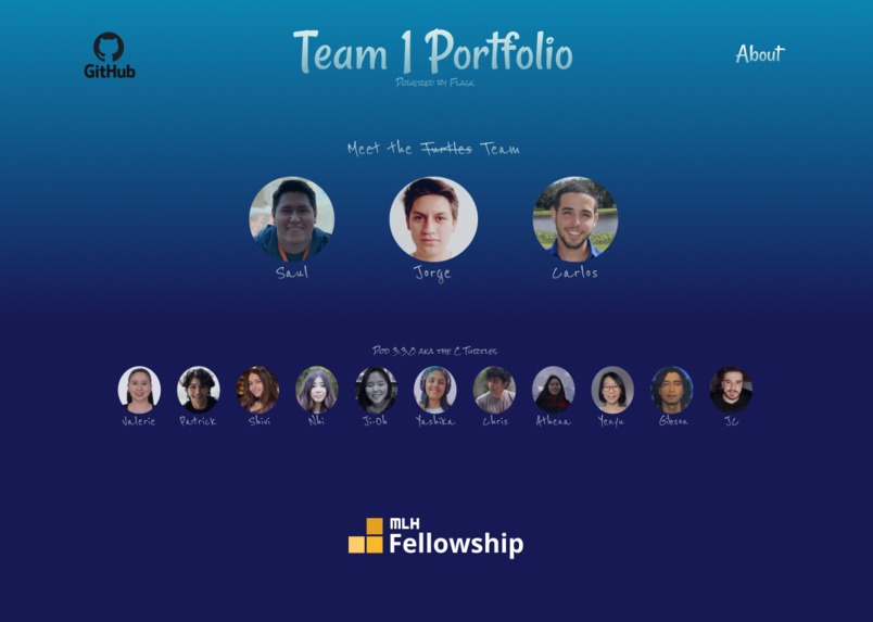 Latam C Turtles Portfolio – screenshot 2