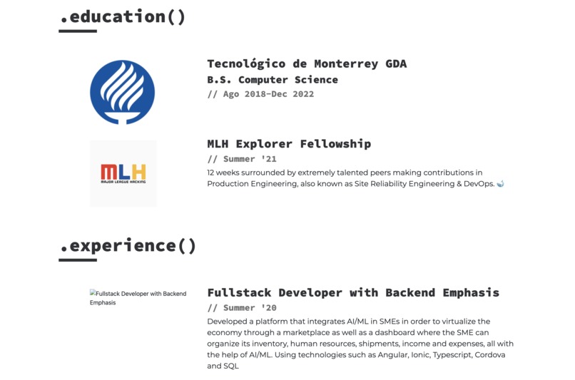 Latam C Turtles Portfolio – screenshot 3