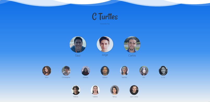 Latam C Turtles Portfolio – screenshot 5