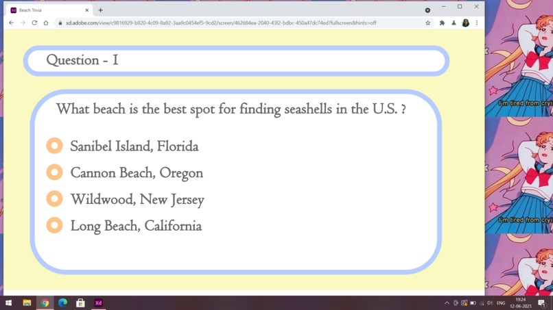Beach Trivia (Corona Edition) – screenshot 4