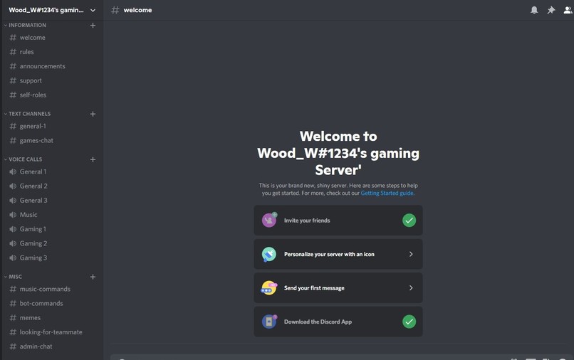 BlankServer – screenshot 1