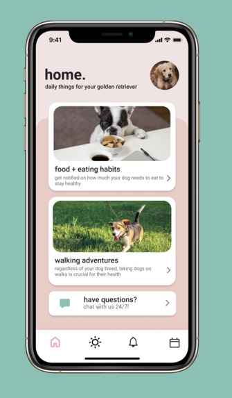 Dogify – screenshot 3