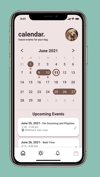 Dogify – screenshot 7