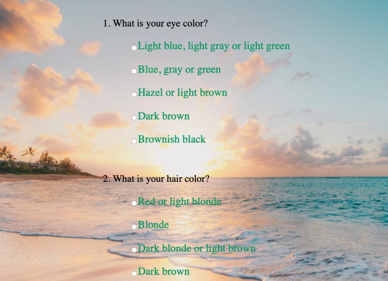 Safe Dsumption – screenshot 6