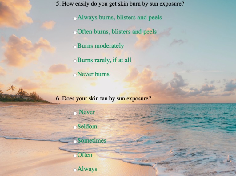 Safe Dsumption – screenshot 8