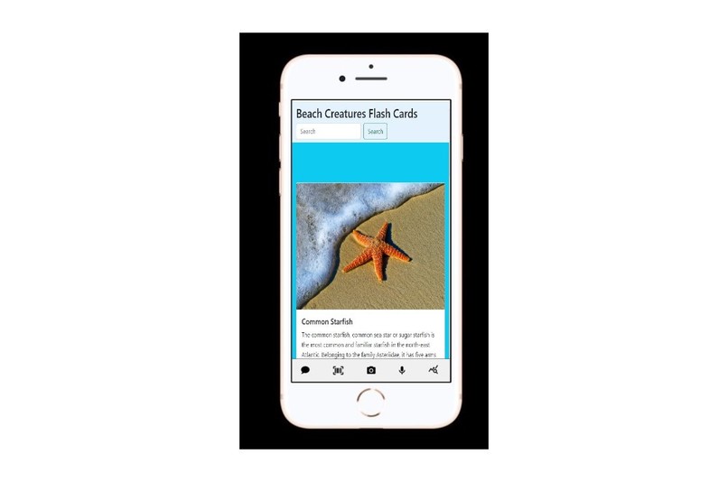 SeaSurfer – screenshot 8