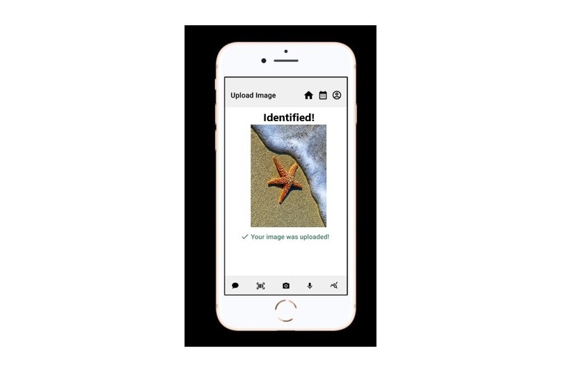 SeaSurfer – screenshot 7