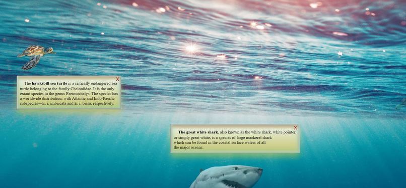 explore_the_underwater_world – screenshot 2