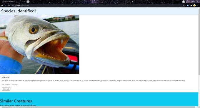SeaSurfer – screenshot 4