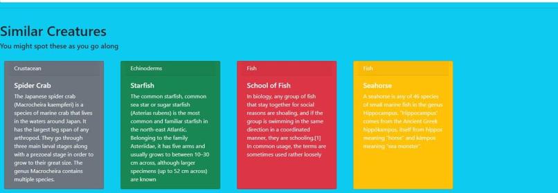 SeaSurfer – screenshot 5