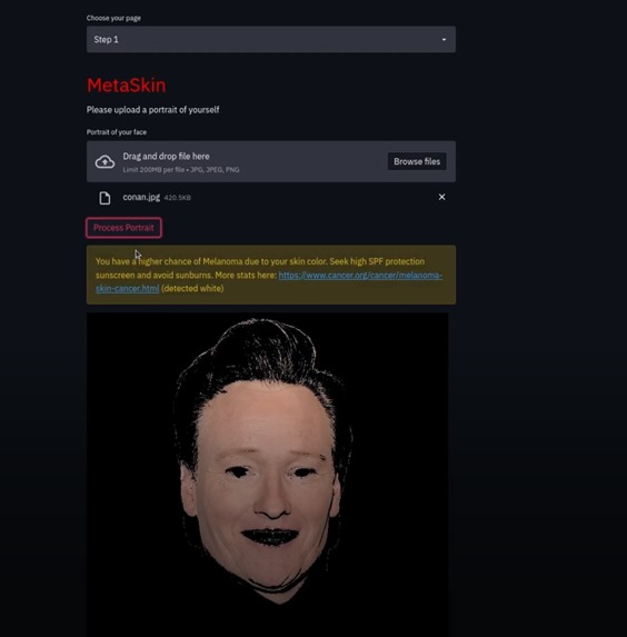 MetaSkin – screenshot 3