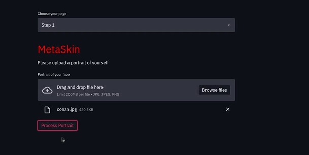 MetaSkin – screenshot 2