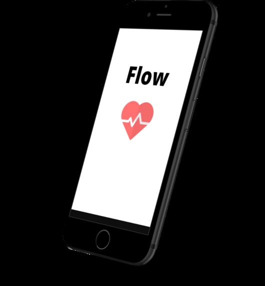 FLOW – screenshot 10