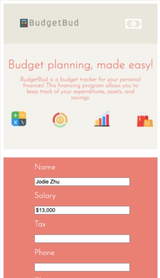 BudgetBud – screenshot 4