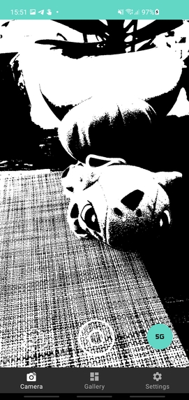 CamZone – screenshot 2