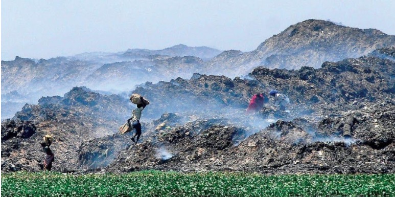 Conservation Of Wetlands – screenshot 3