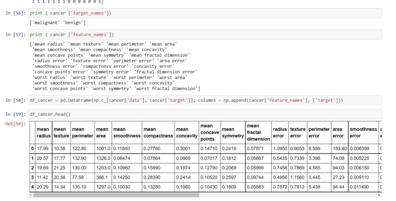 Who says Girls can't Fight – screenshot 4