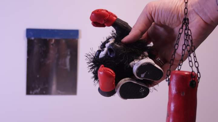 Stop-Motion Projekt: "Mit GEFÜHL durch die Pandemie" – screenshot 26