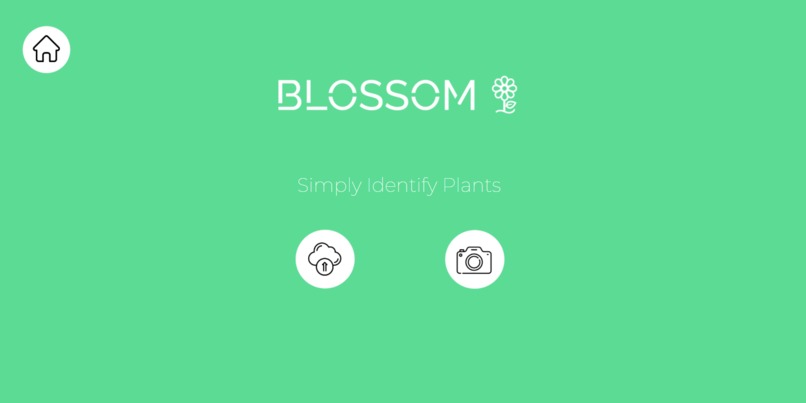 Blossom  – screenshot 1