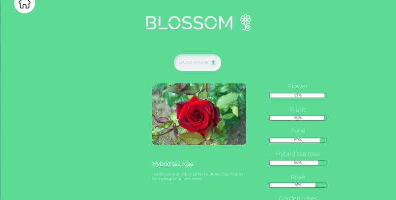 Blossom  – screenshot 2