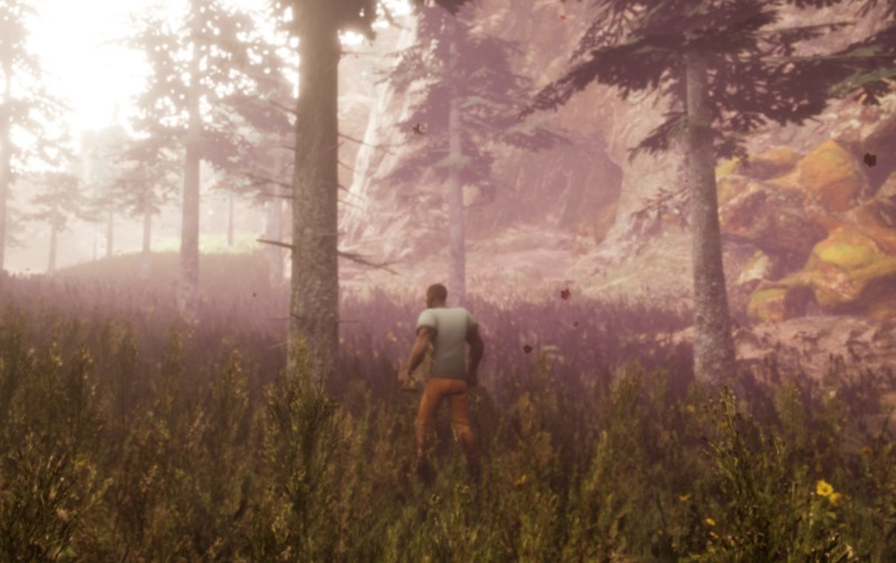 Project Zen – screenshot 2