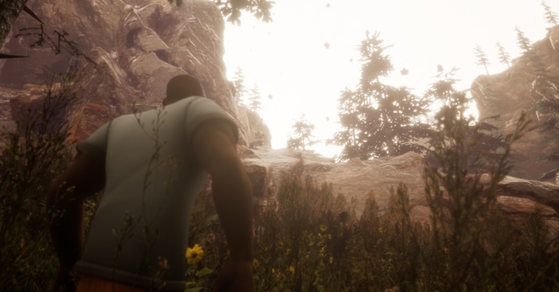 Project Zen – screenshot 3