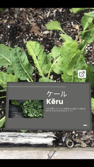 International Gardener – screenshot 1