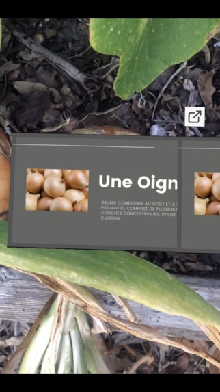 International Gardener – screenshot 4