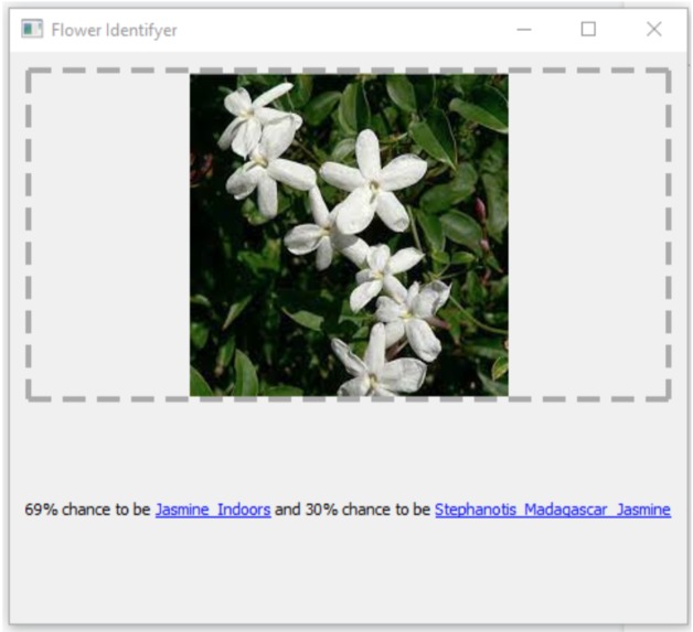 Bloom - Hanging Basket Flowers Identification App – screenshot 1