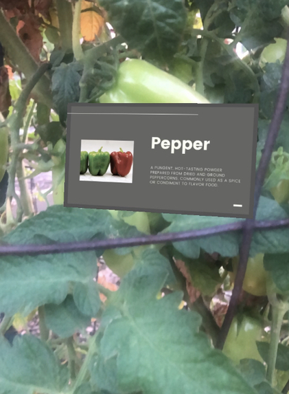 International Gardener – screenshot 4