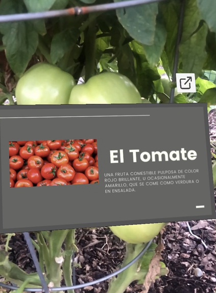 International Gardener – screenshot 1