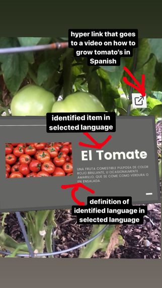 International Gardener – screenshot 2