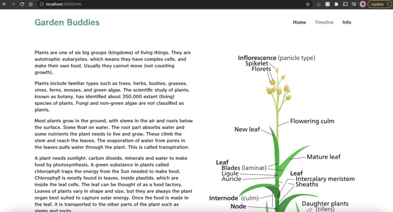 GardenBuddies – screenshot 2